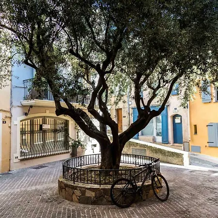 Maison De L'ormeau Saint-Tropez