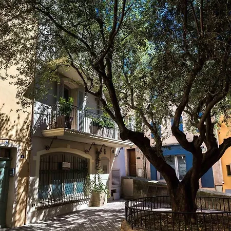 Villa Maison De L'ormeau Saint-Tropez